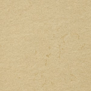 Elefantenhaut 110g/m², DIN A4 10 Blatt, chamois
