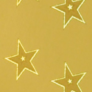 Holokarton 230g/m², 50x70cm, 10 Bogen Sterne gold