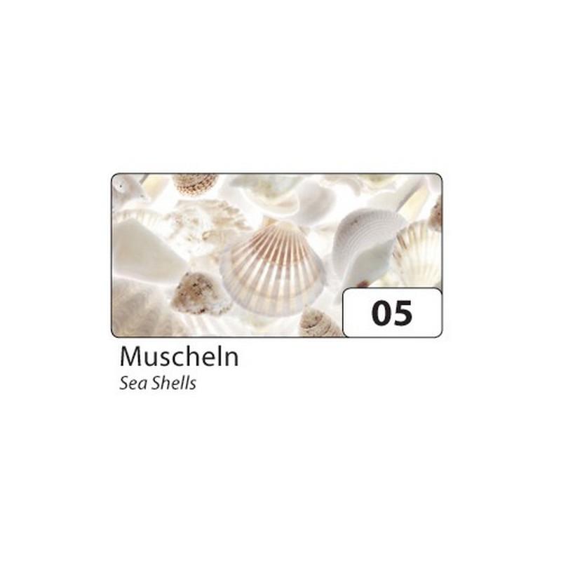 Motivkarton 270g/m², 50x70cm, 10 Bogen Muscheln""