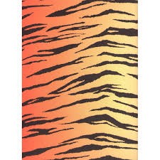 Motivkarton 300g/m², 50x70cm, 10 Bogen Tiger