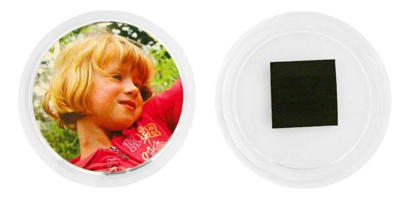 Buttonmagnet  12er Pack
